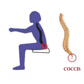 Perna ortopedica pentru coccis PA 02
